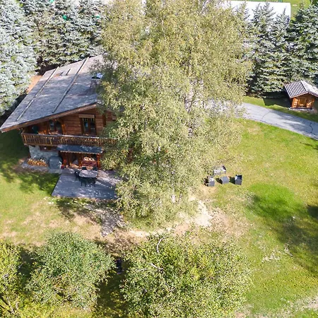 Chamonix-mont-blanc, 8 Pièces, 12 Personnes - Fr-1-343-226 *